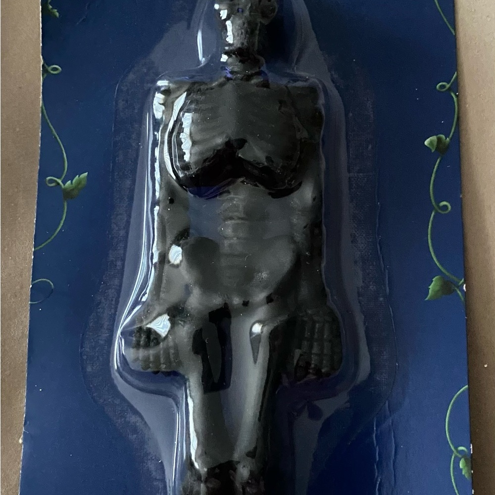 New-Halloween Party Supplies Set with Brain Mold & a Skeleton - Picture 3 of 10